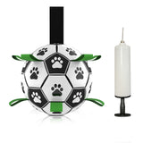 Dog Soccer Ball