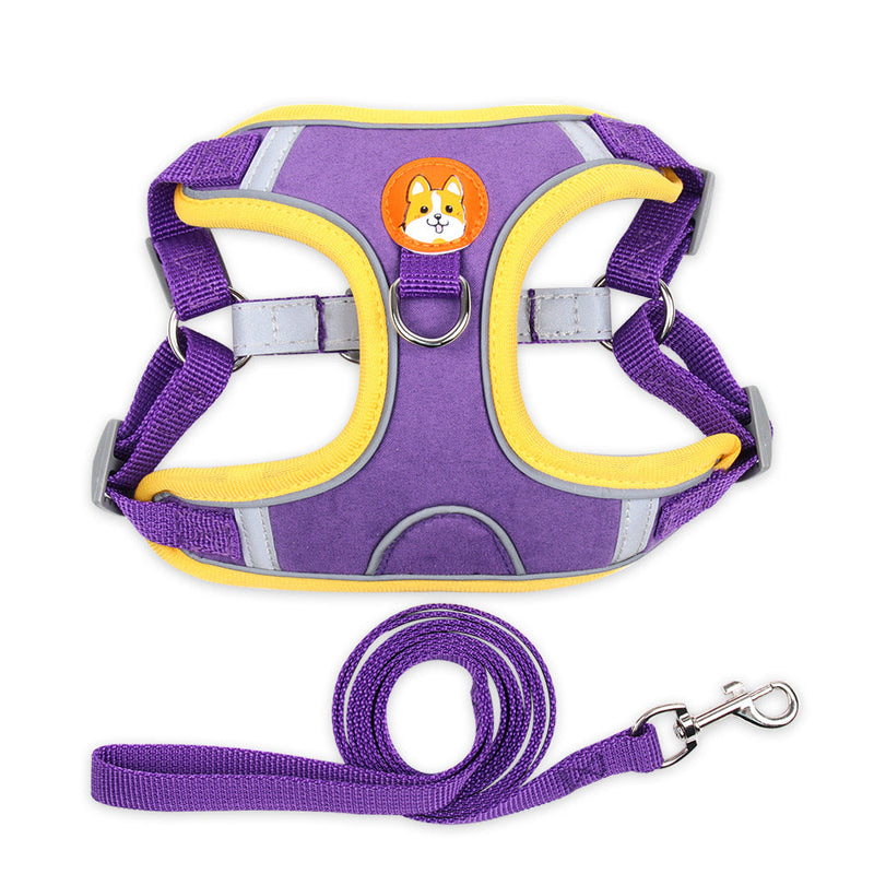 Dog Harness with Leash Set