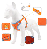 Dog Harness with Leash Set